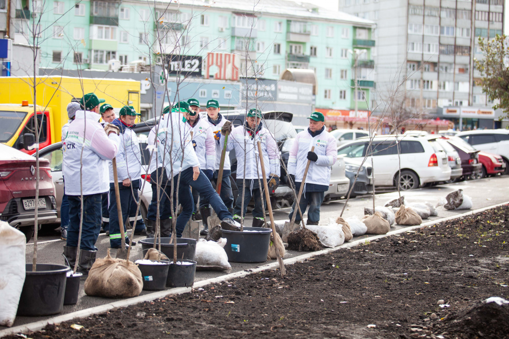 Зелёная дружина СГК в Красноярске не прекращала деятельность и в пандемийном 2020 году