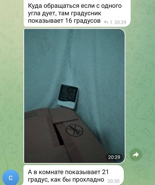 Сообщение из чата телеграм-канала СГК Красноярский край