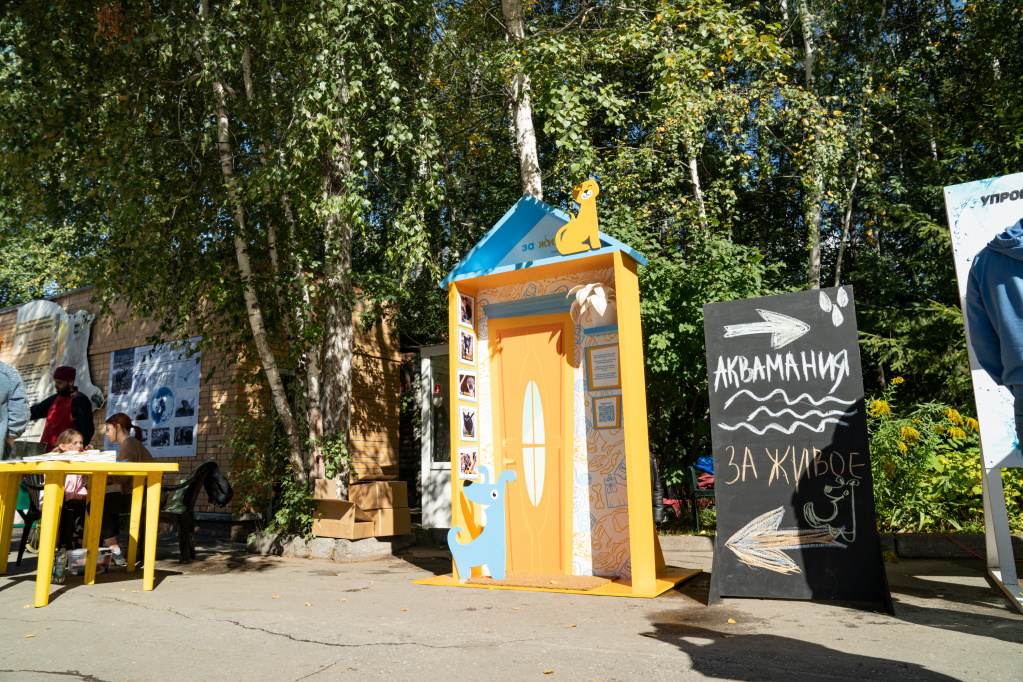 Локация «За живое» в Новосибирском зоопарке рядом с вольером белых медведей