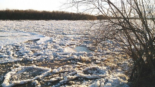 В Сибири прогнозируют обильные паводки: чем это опасно для энергетики?  