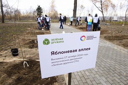 Энергетики СГК заложили яблоневую аллею в Нагорном парке Барнаула