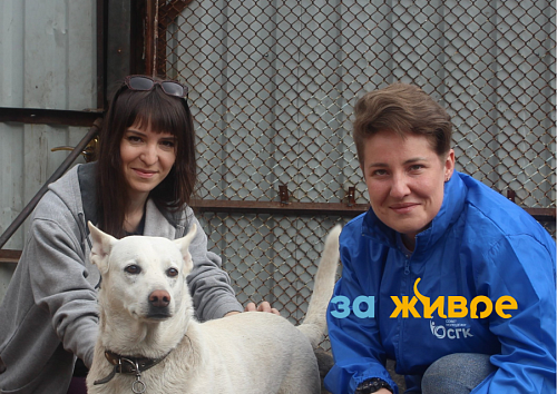 Теплая зима для «Дома друзей» в Новокузнецке