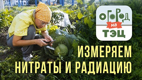 Огород на ТЭЦ: измеряем нитраты в овощах и уровень радиации